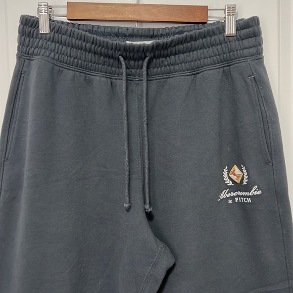 Abercrombie and Fitch Soft Collection dark gray wide leg sweatpants size Large - Picture 2 of 9
